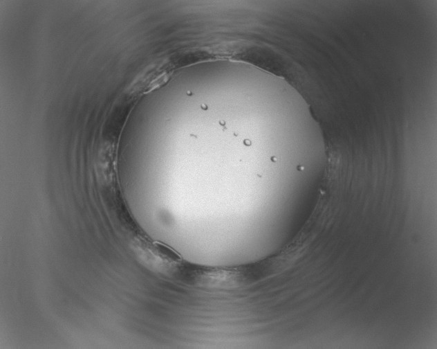 X0000076420237200611031821