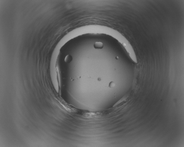 X0000076420239200611031821