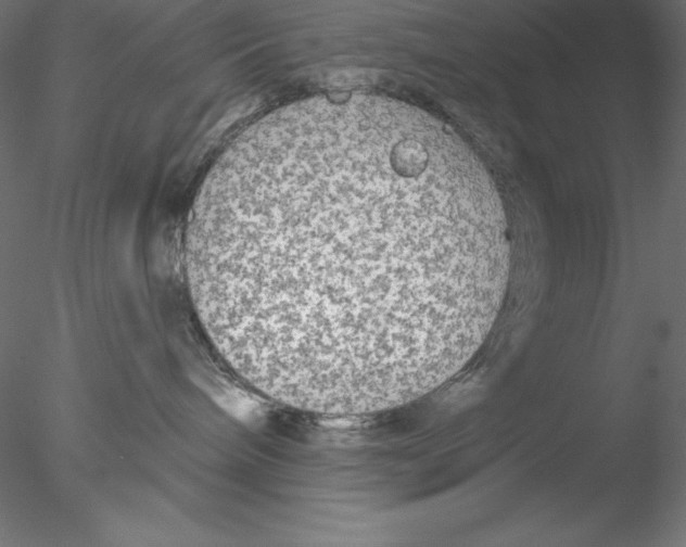 X0000076420240200611031821