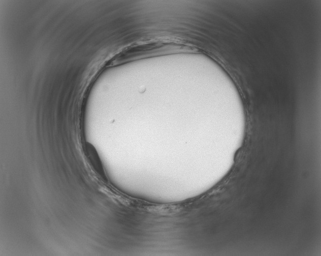 X0000076420241200611031821