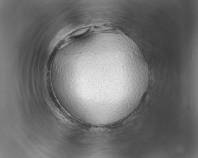 X0000076420242200611031821