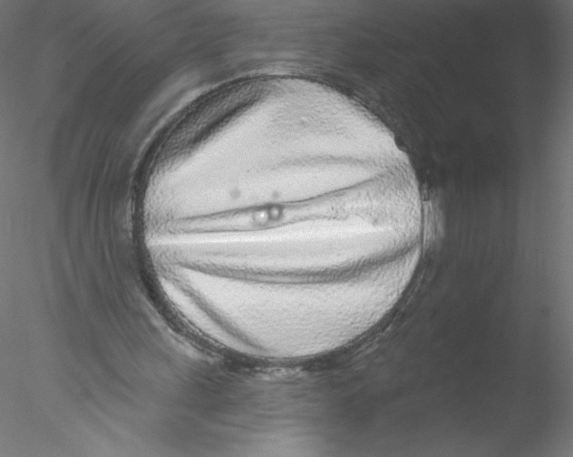 X0000076420243200611031821