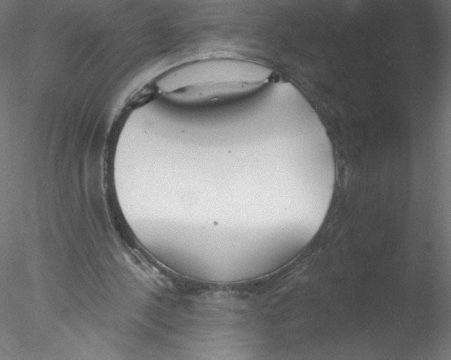 X0000076420244200611031821