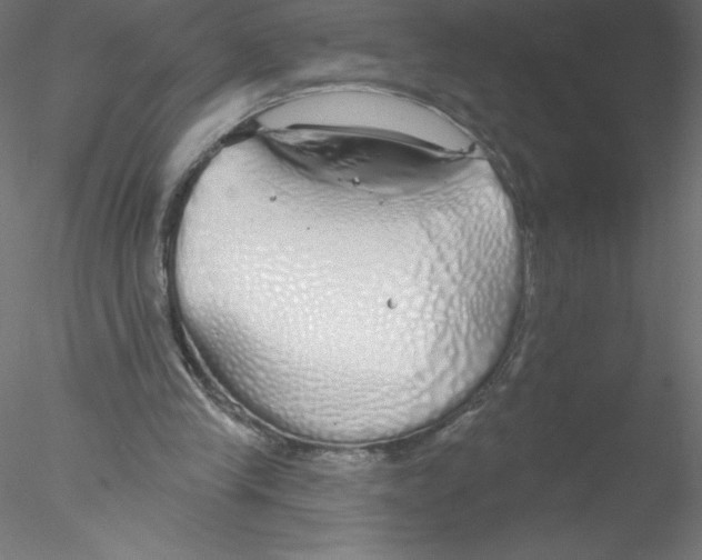 X0000076420245200611031821