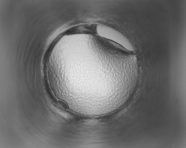 X0000076420246200611031821