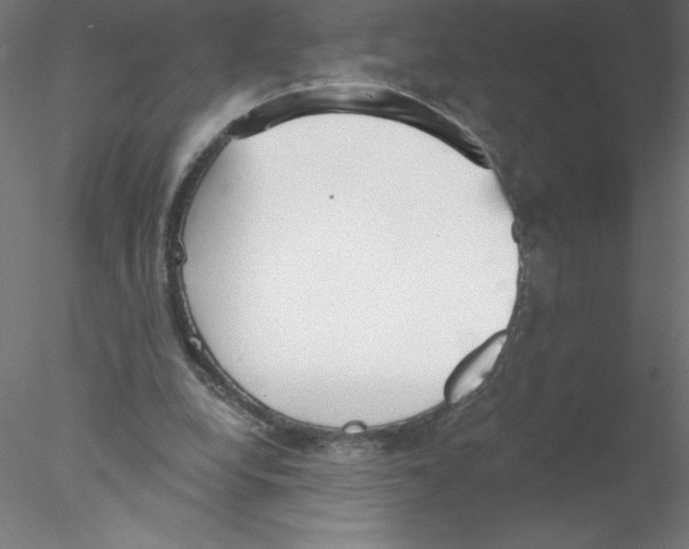 X0000076420248200611031821