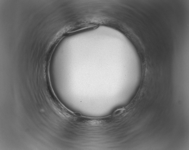 X0000076420250200611031821