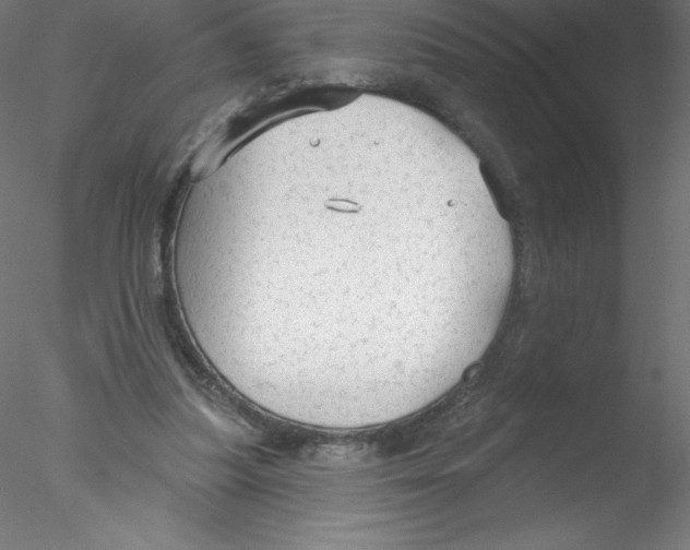 X0000076420251200611031821