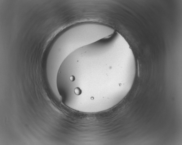 X0000076420252200611031821