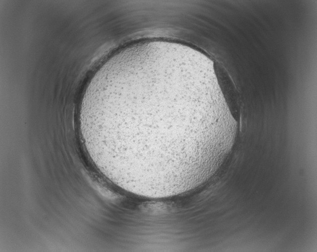 X0000076420253200611031821