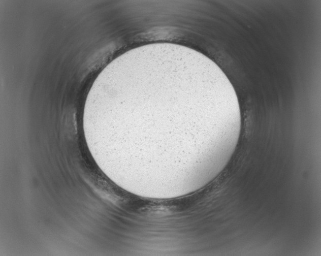 X0000076420254200611031821