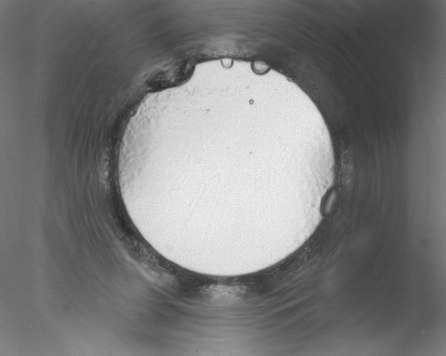 X0000076420255200611031821