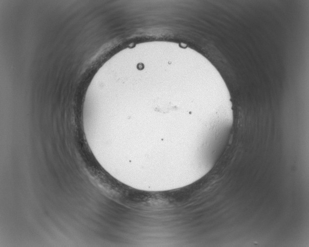 X0000076420256200611031821