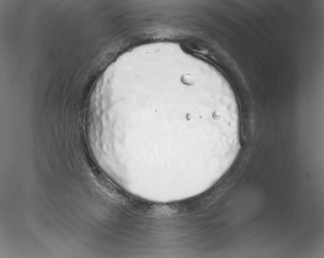 X0000076420257200611031821