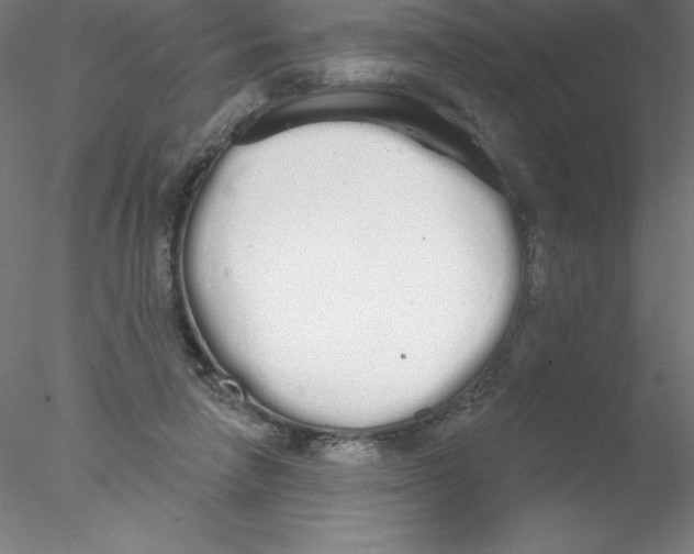 X0000076420258200611031821