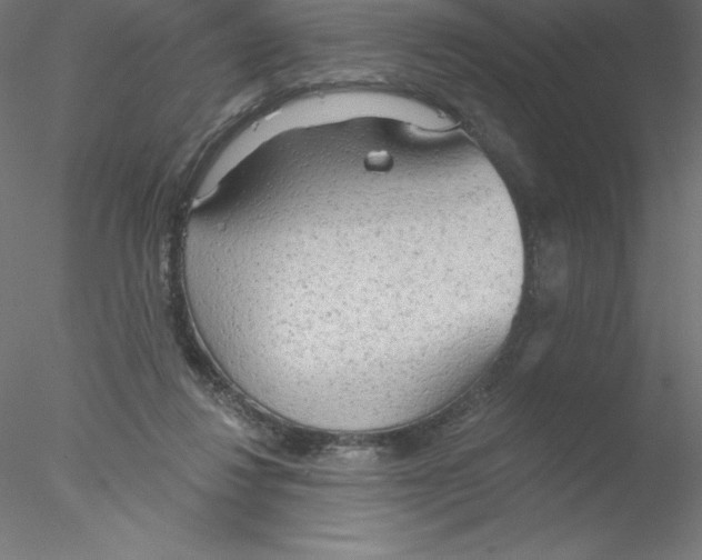 X0000076420260200611031821