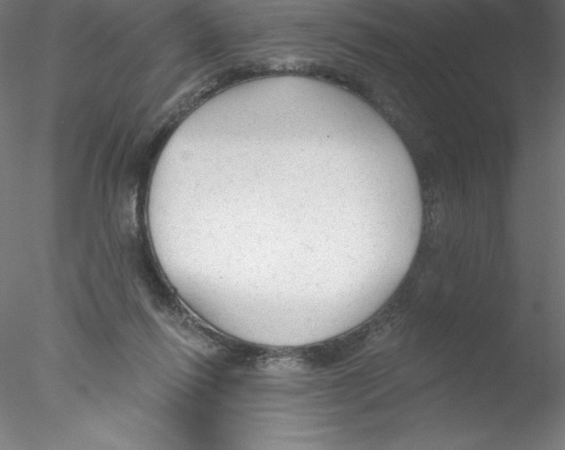 X0000076420262200611031821