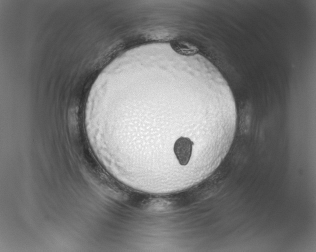 X0000076420263200611031821