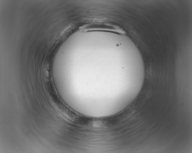 X0000076420264200611031821