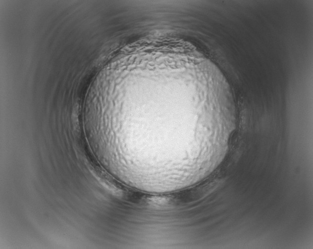 X0000076420265200611031821