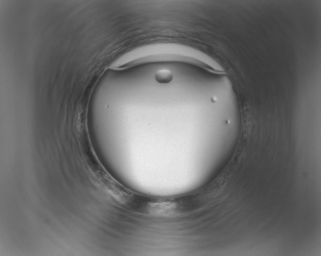 X0000076420266200611031821