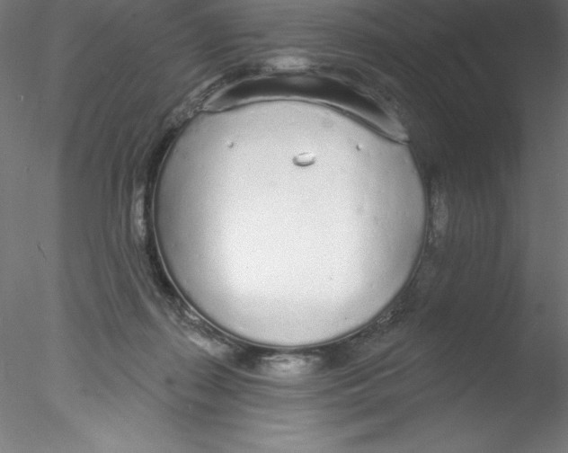 X0000076420267200611031821