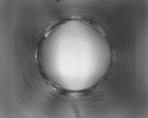 X0000076420268200611031821