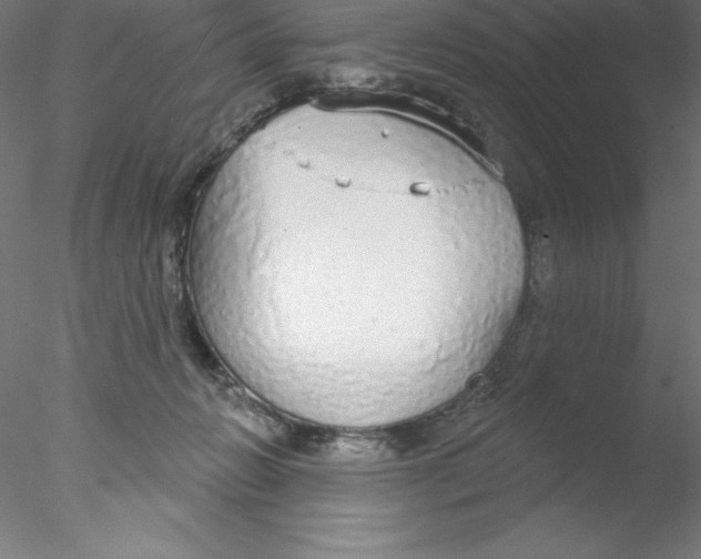 X0000076420270200611031821