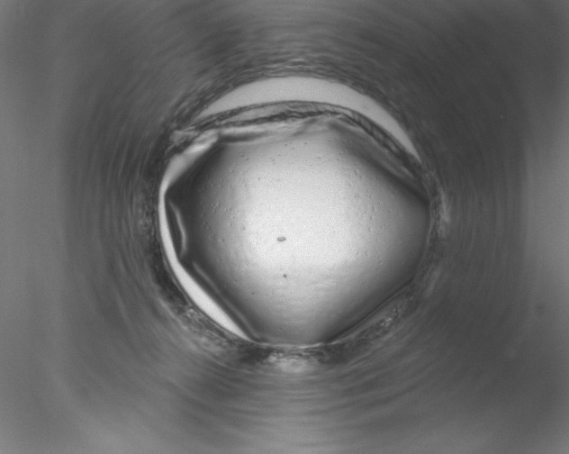 X0000076420272200611031821