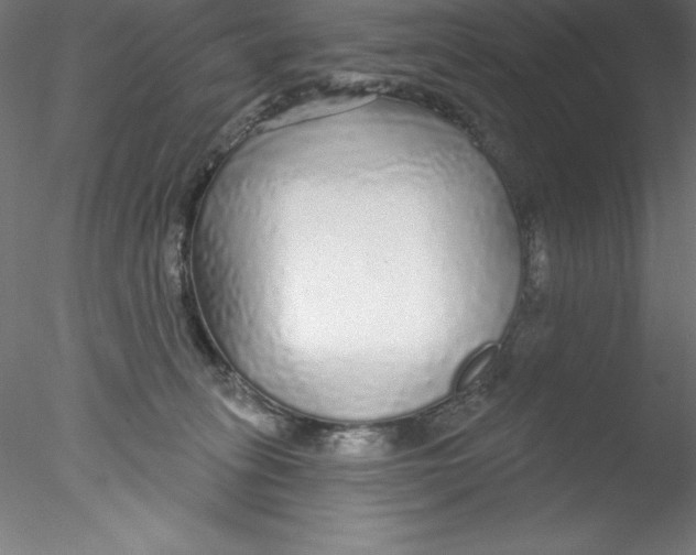 X0000076420275200611031821