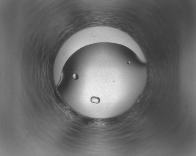 X0000076420276200611031821