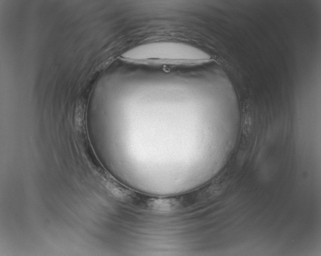 X0000076420277200611031821