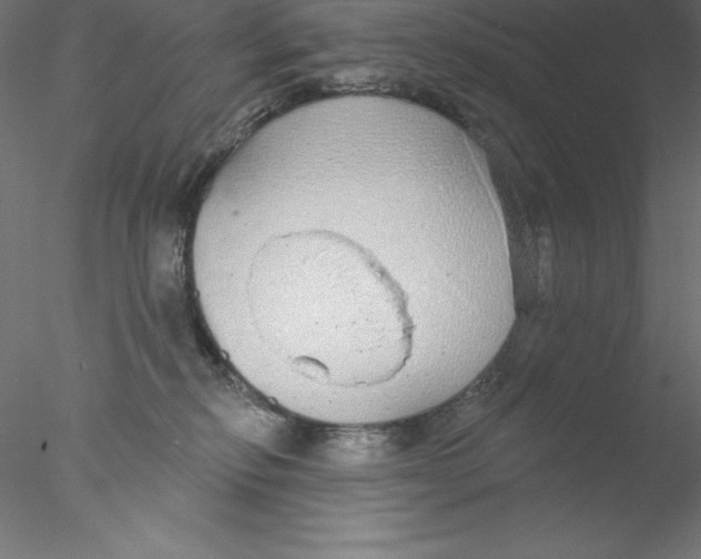 X0000076420278200611031821