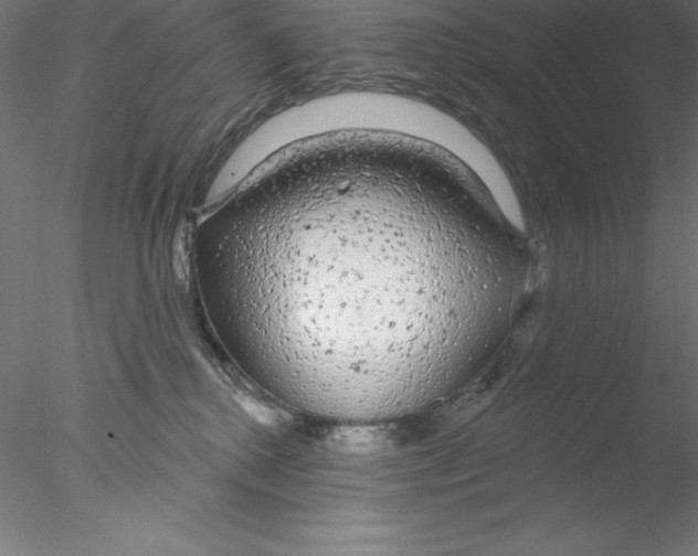 X0000076420280200611031821