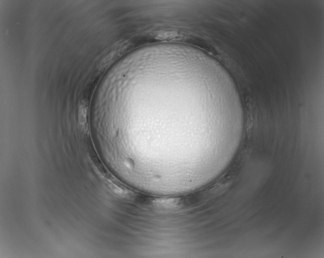 X0000076420281200611031821