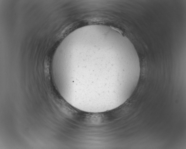 X0000076420282200611031821