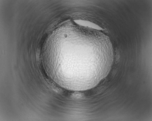 X0000076420283200611031821