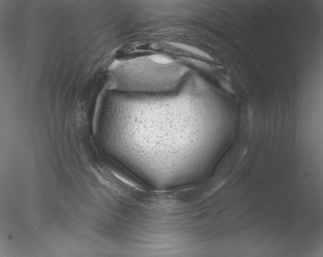 X0000076420284200611031821