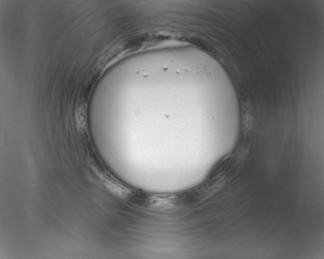 X0000076420285200611031821