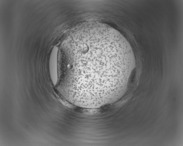 X0000076420288200611031821