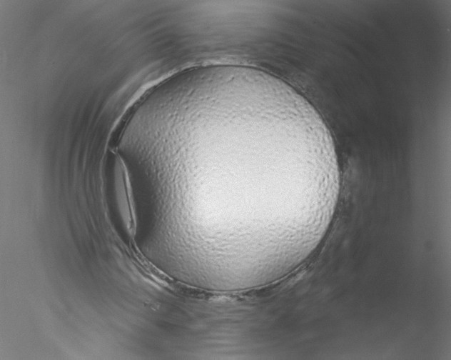 X0000076420290200611031821