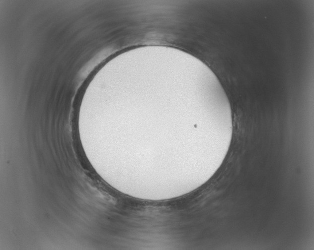 X0000076420292200611031821