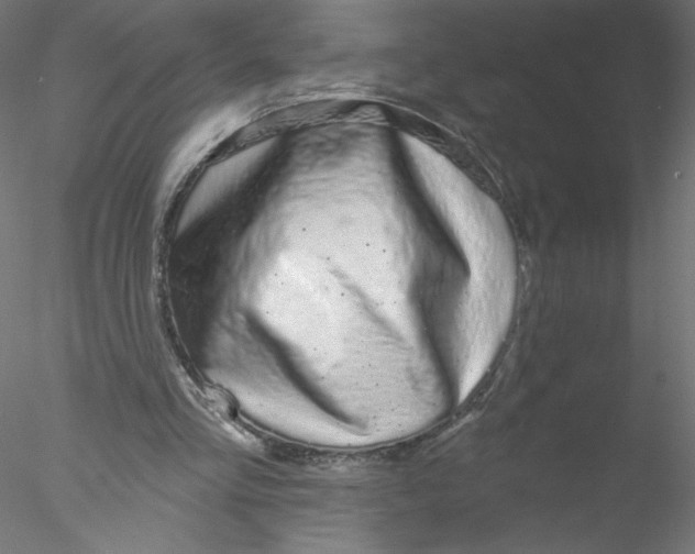 X0000076420293200611031821