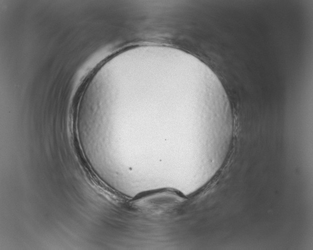 X0000076420294200611031821