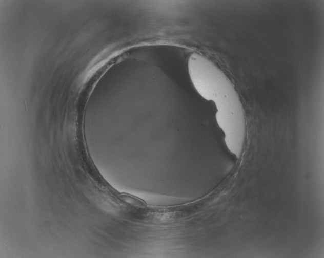 X0000076420295200611031821