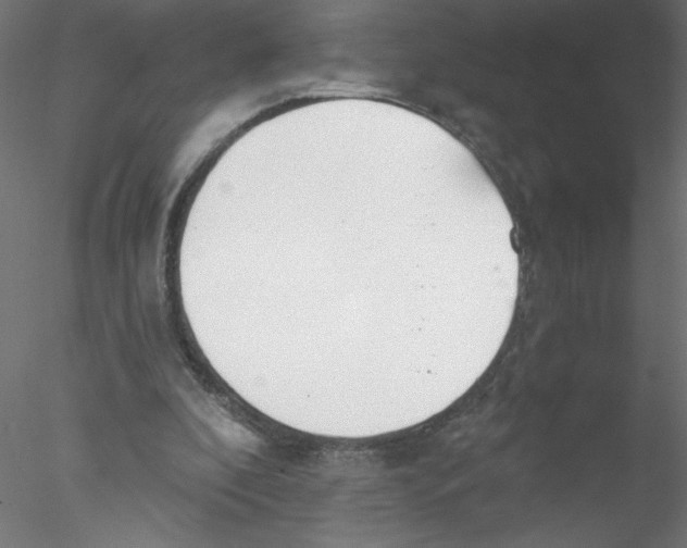 X0000076420296200611031820