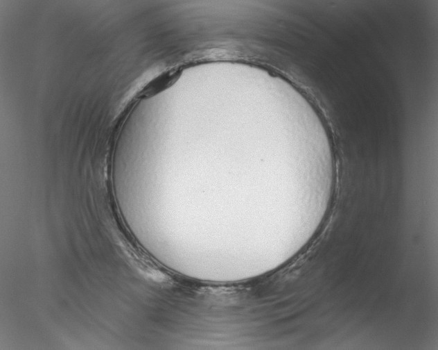 X0000076420297200611031820