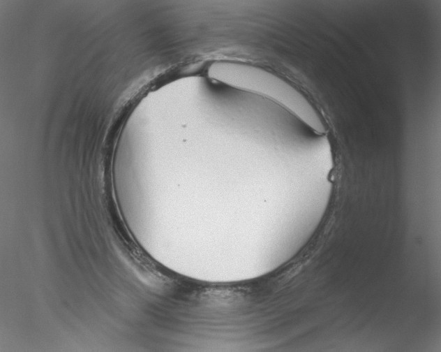 X0000076420298200611031820