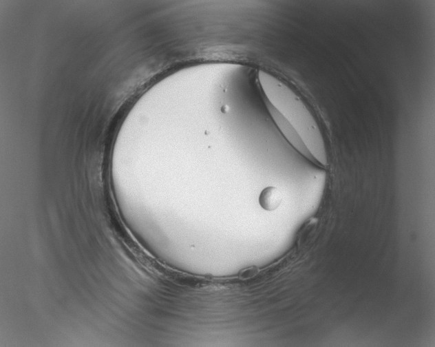 X0000076420299200611031820