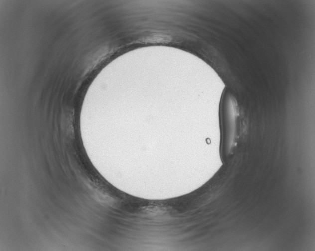 X0000076420300200611031820